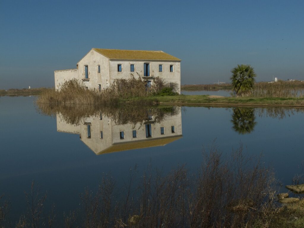 Foto de la  Albufera de Valencia